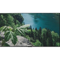 OLED77G2