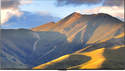 OLED55G3